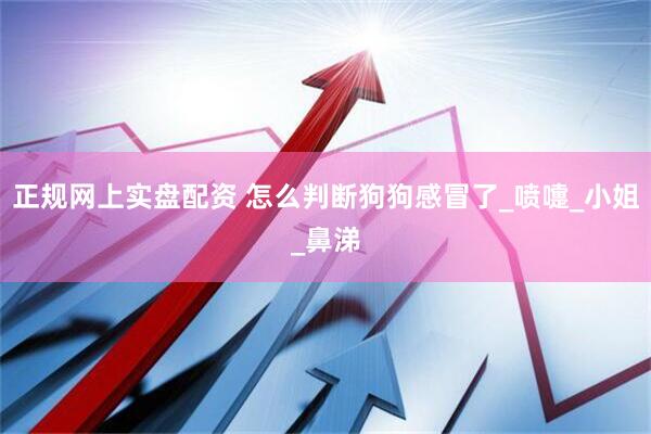 正规网上实盘配资 怎么判断狗狗感冒了_喷嚏_小姐_鼻涕